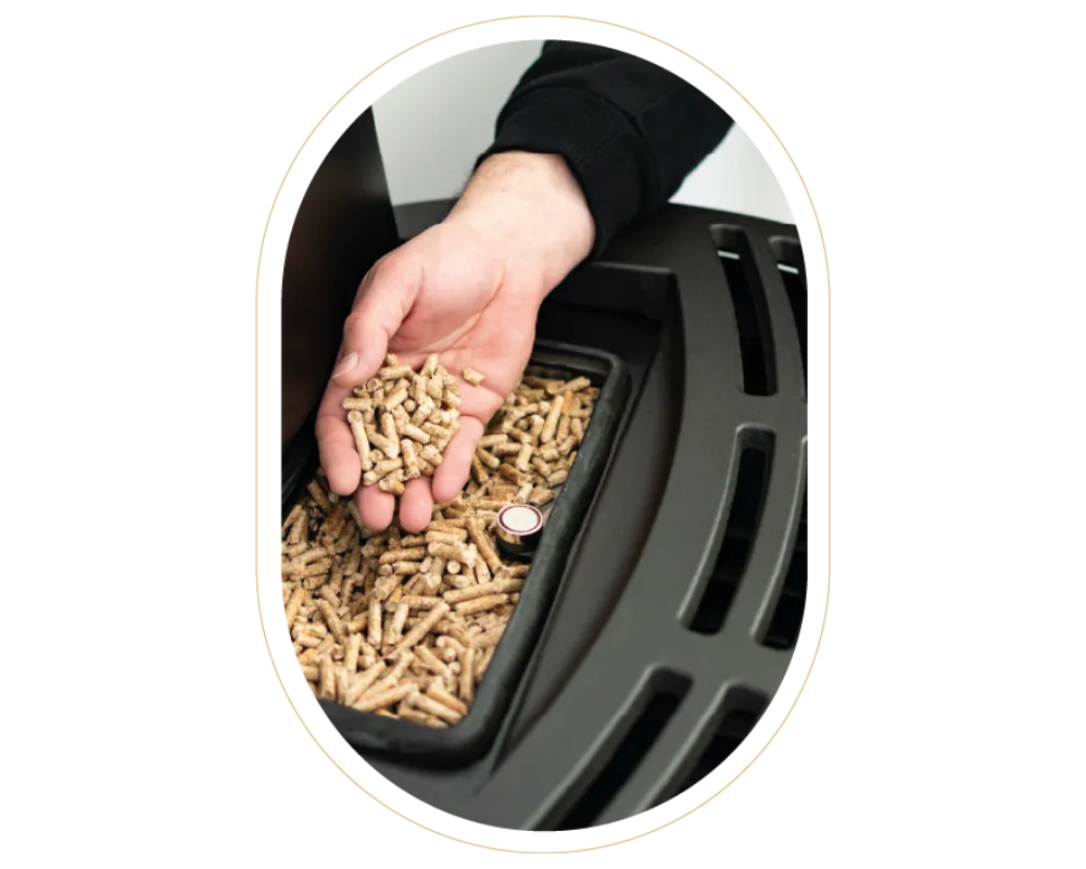 entretien poele a granule janze