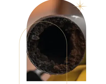 ramonage à La Guerche-de-Bretagne - image 4